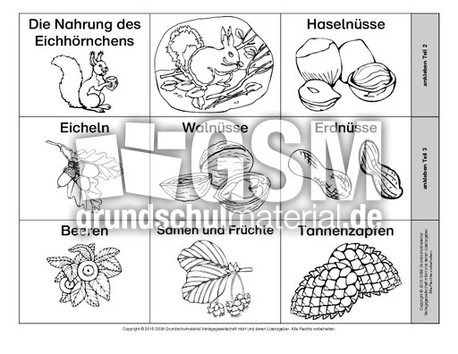 Leporello-Eichhörnchen-Ernährung.pdf